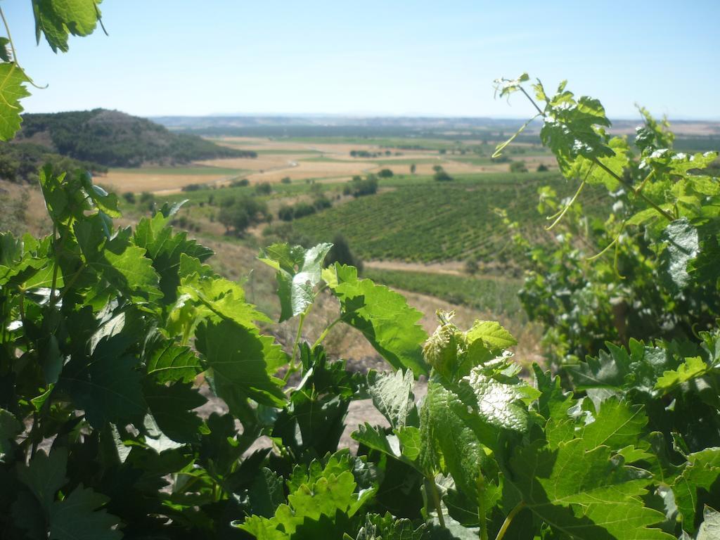 La Cantamora Hotel Rural Pesquera De Duero Esterno foto
